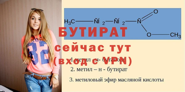 стаф Аркадак