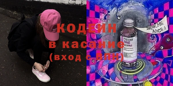 стаф Аркадак