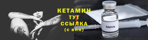 стаф Аркадак