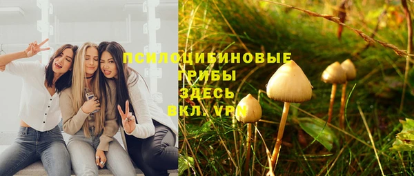 гашик Балахна