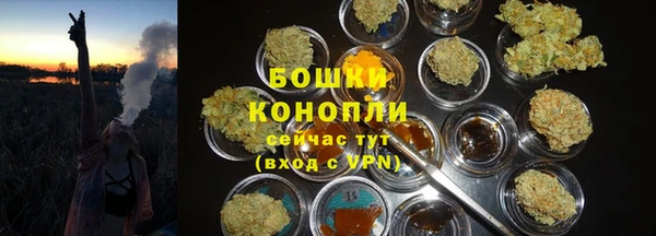 гашик Балахна