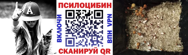 Псилоцибиновые грибы Cubensis Лесосибирск